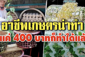 4 อาชีพเกษตร น่าทำ งบแค่ 400 บาท